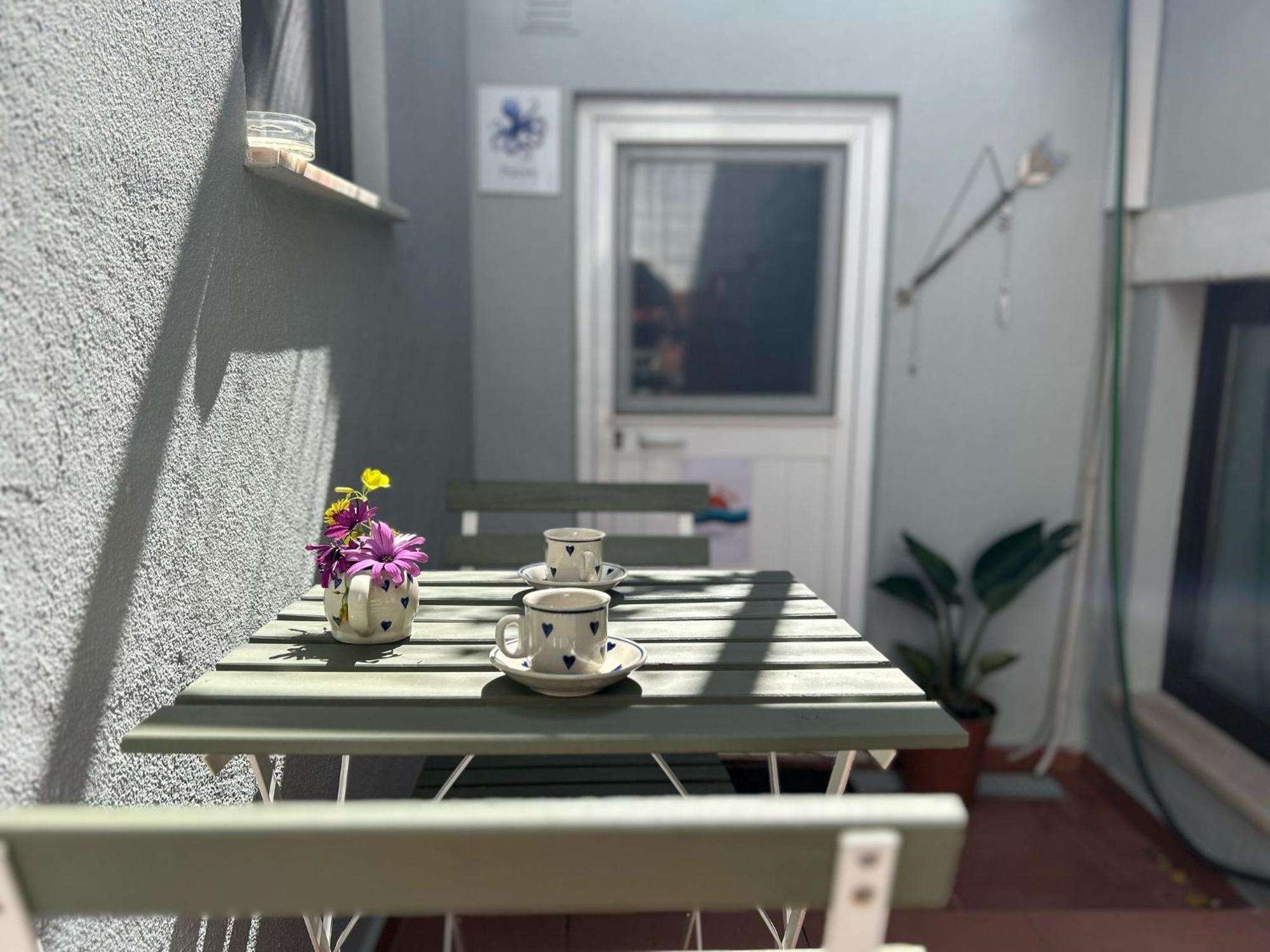 Studio Polvo باريد المظهر الخارجي الصورة